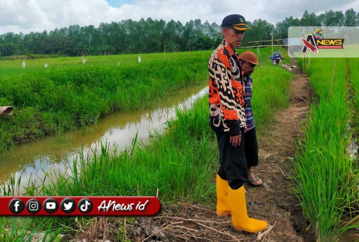 Berau Siapkan Pompanisasi dan Perluasan LTT Hadapi Kemarau