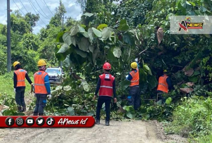 PLN Berau Tambah Pembangkit Baru, Atasi Pemadaman Bergilir