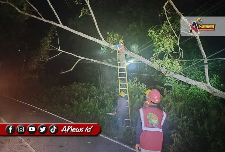 Sabar Menanti, Mesin Baru Untuk Listrik Berau Sedang Dalam Perjalanan