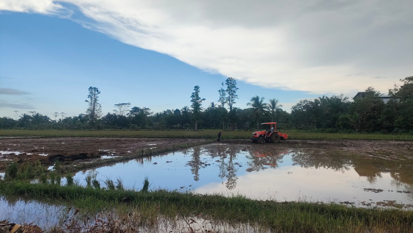 DPRD Bulungan Minta Pemda Tangani Dampak Banjir pada Lahan Pertanian dan Infrastruktur