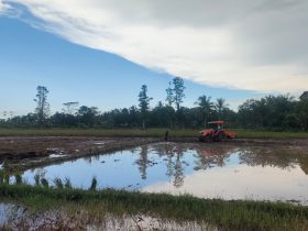 DPRD Bulungan Minta Pemda Tangani Dampak Banjir pada Lahan Pertanian dan Infrastruktur