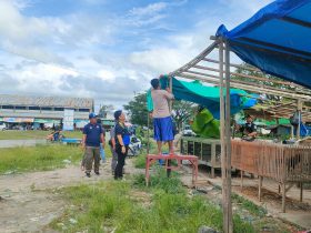 Lapak Ayam Kampung di Pasar Induk Bulungan Dibongkar Paksa, Pedagang Keluhkan Tak Ada Tempat Relokasi
